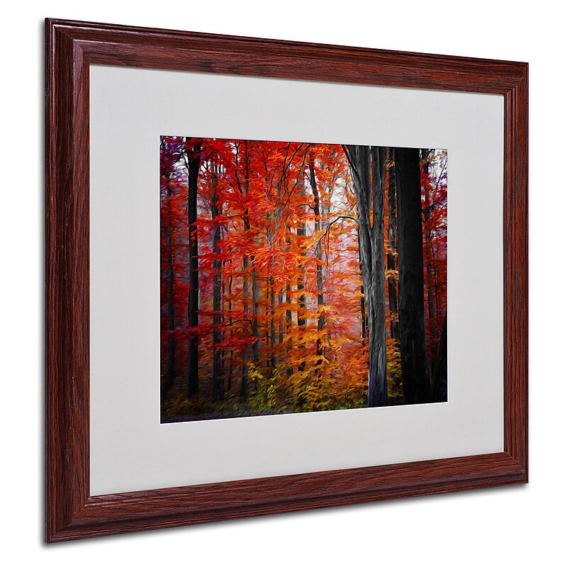 Trademark Fine Art 'No Title' 16" x 20" Wood Frame Art image 1
