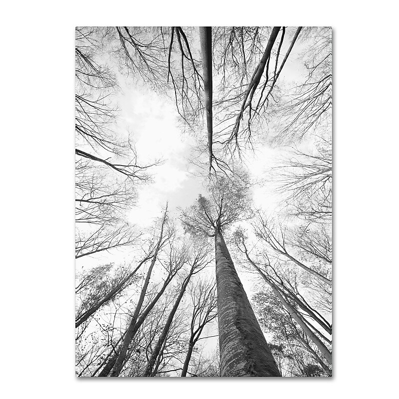 Trademark Fine Art 'Recall the Days' 22" x 32" Canvas Art image 1