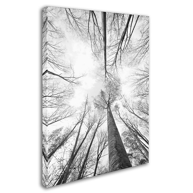 Trademark Fine Art 'Recall the Days' 16" x 24" Canvas Art image 1