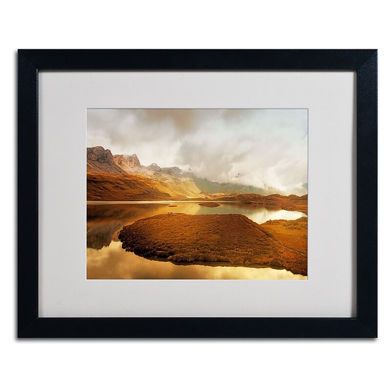 Trademark Fine Art 'Shades of Gold' 16" x 20" Black Frame Art image 1