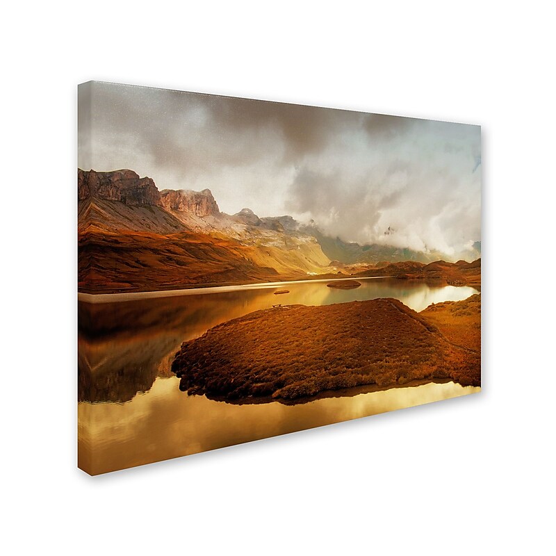 Trademark Fine Art 'Shades of Gold' 22" x 32" Canvas Art image 1