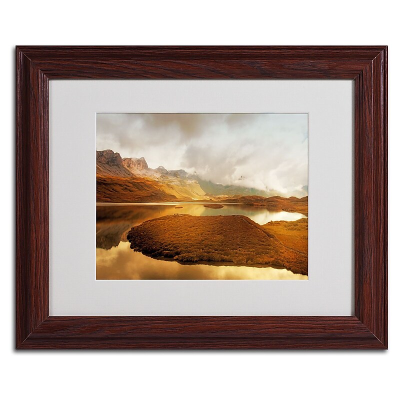 Trademark Fine Art 'Shades of Gold' 11" x 14" Wood Frame Art image 1
