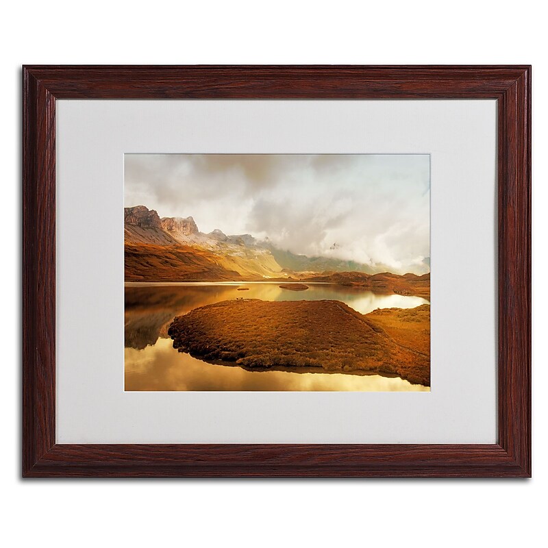 Trademark Fine Art 'Shades of Gold' 16" x 20" Wood Frame Art image 1