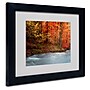 Trademark Fine Art 'Sometimes' 11" x 14" Black Frame Art~#|#~m000237667_sc7