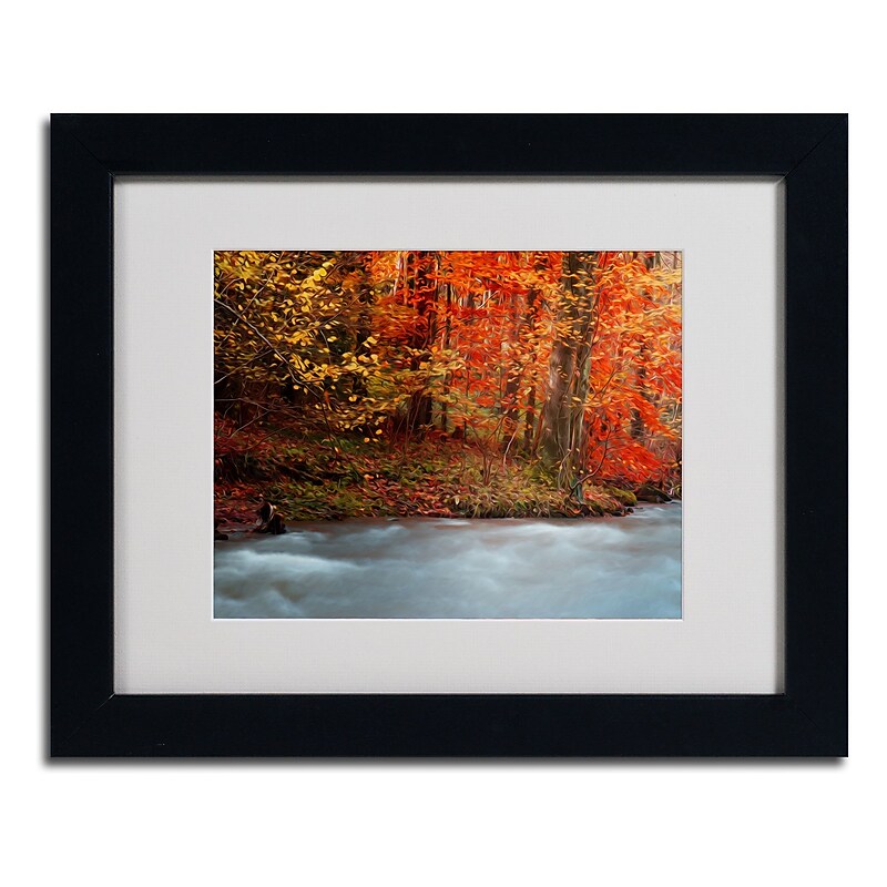 Trademark Fine Art 'Sometimes' 11" x 14" Black Frame Art image 1