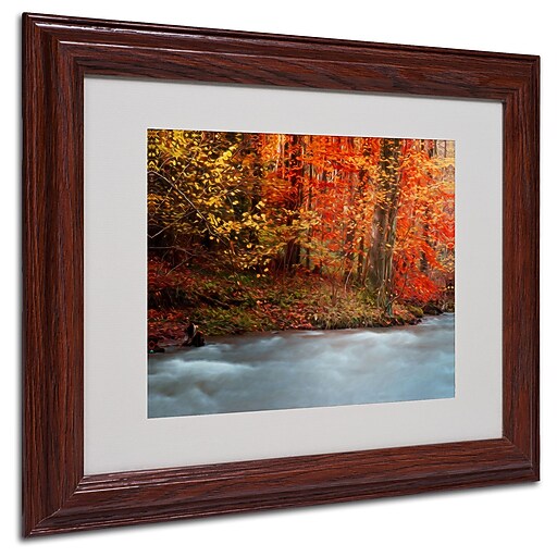 Trademark Fine Art 'Sometimes' 11" x 14" Wood Frame Art Staples