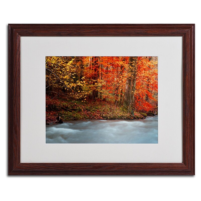 Trademark Fine Art 'Sometimes' 16" x 20" Wood Frame Art image 1
