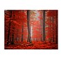 Trademark Fine Art 'Speaking of Tongues' 30" x 47" Canvas Art~#|#~m000237681_sc7