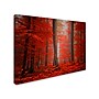 Trademark Fine Art 'Speaking of Tongues' 30" x 47" Canvas Art~#|#~m000237682_sc7