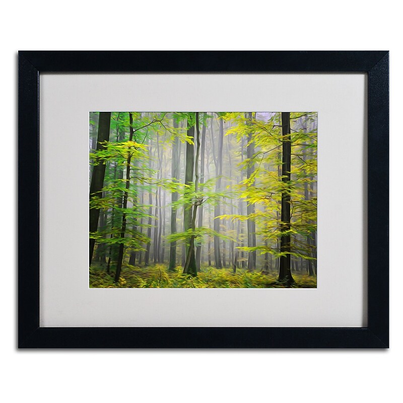 Trademark Fine Art 'Sugar Low' 16" x 20" Black Frame Art image 1
