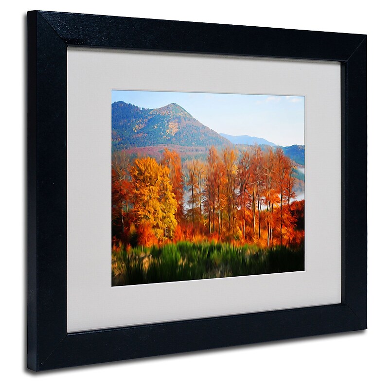 Trademark Fine Art 'Swing' 11" x 14" Black Frame Art image 1