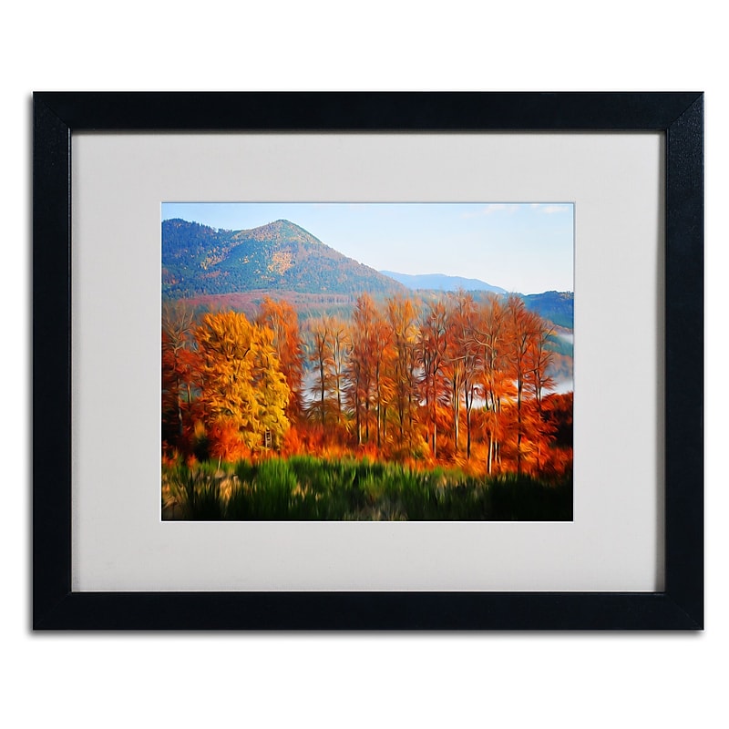 Trademark Fine Art 'Swing' 16" x 20" Black Frame Art image 1