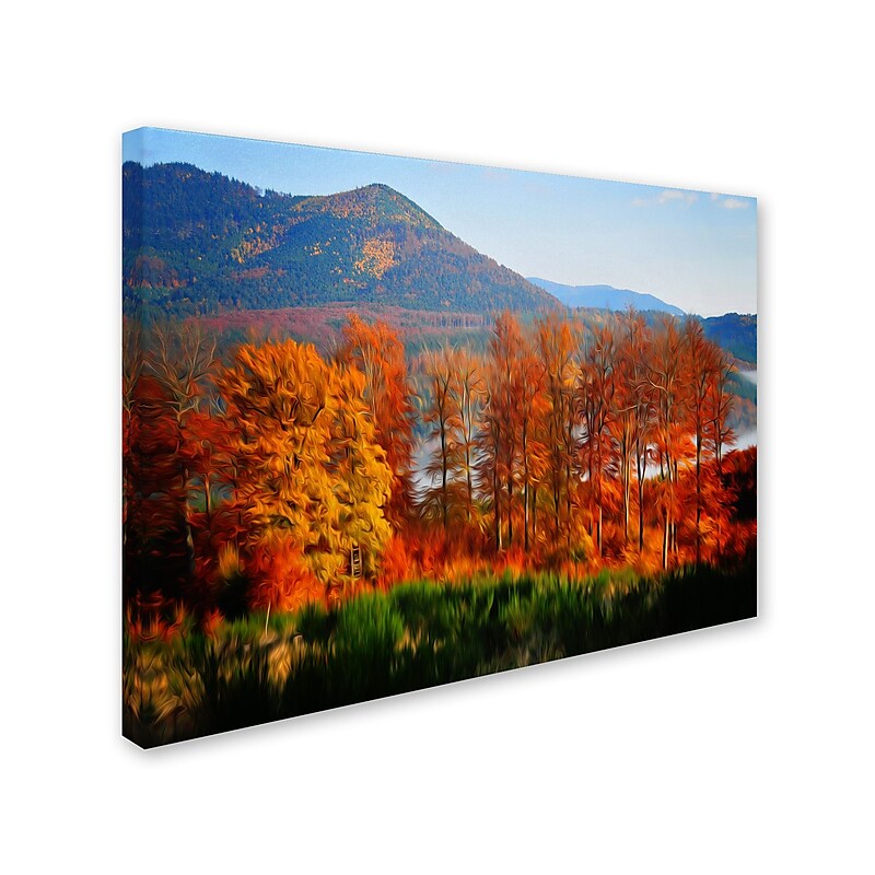 Trademark Fine Art 'Swing' 22" x 32" Canvas Art image 1