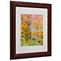 Trademark Fine Art 'The Line it Curves' 11" x 14" Wood Frame Art~#|#~m000237723_sc7