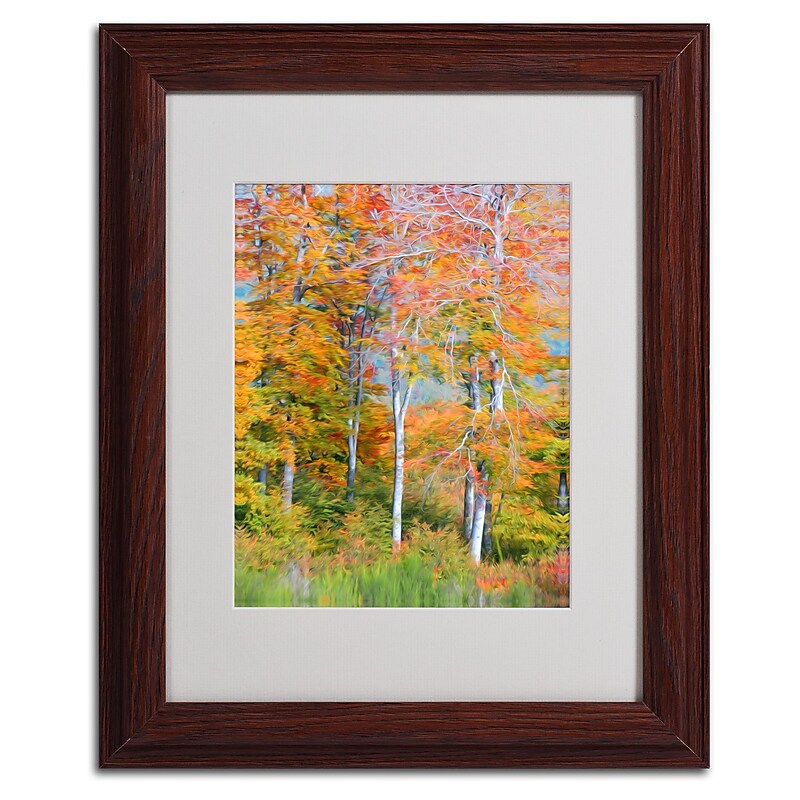 Trademark Fine Art 'The Line it Curves' 11" x 14" Wood Frame Art image 1