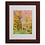 Trademark Fine Art 'The Line it Curves' 11" x 14" Wood Frame Art~#|#~m000237724_sc7