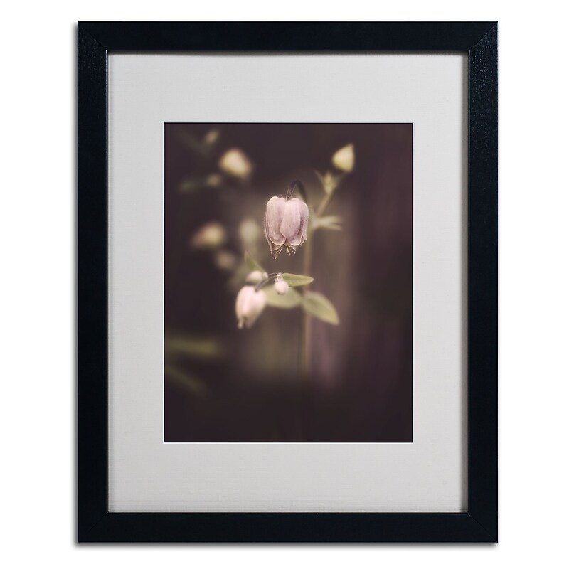 Trademark Fine Art 'The Unwanted' 16" x 20" Black Frame Art image 1