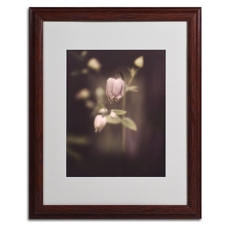 Trademark Fine Art 'The Unwanted' 16" x 20" Wood Frame Art image 1