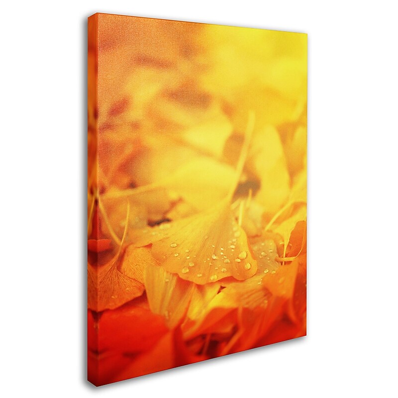 Trademark Fine Art 'Thinking Bubble' 16" x 24" Canvas Art image 1
