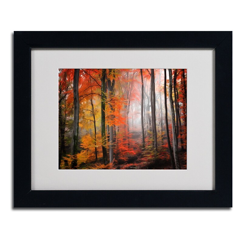 Trademark Fine Art 'Wildly Red' 11" x 14" Black Frame Art image 1