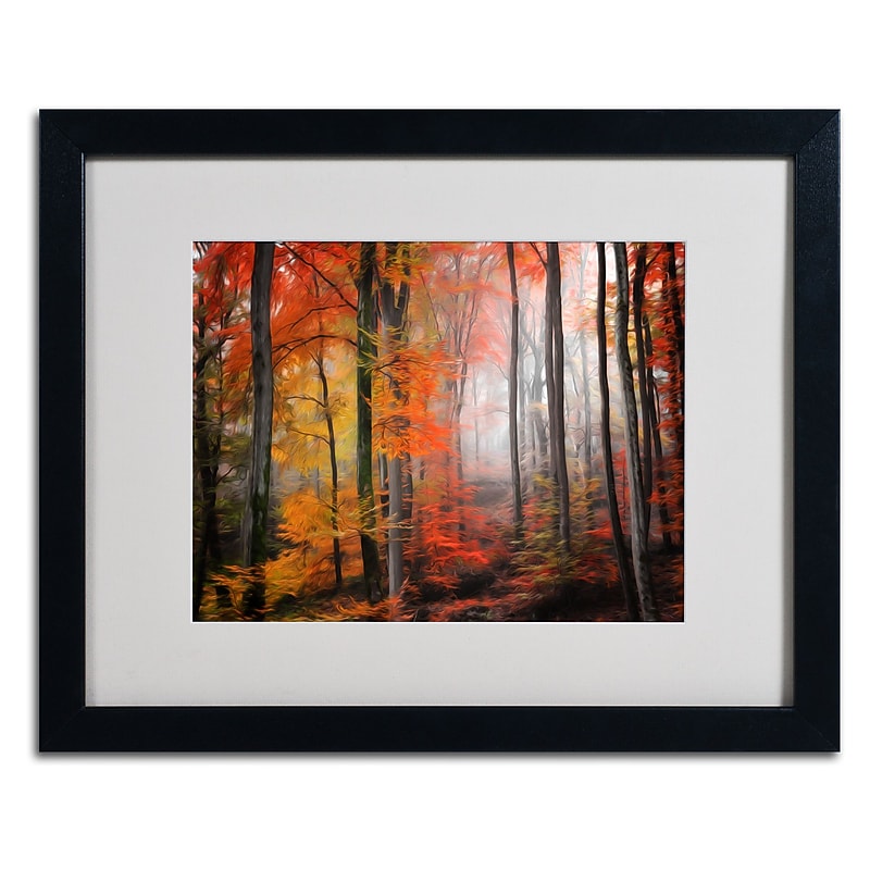Trademark Fine Art 'Wildly Red' 16" x 20" Black Frame Art image 1