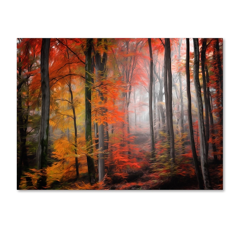 Trademark Fine Art 'Wildly Red' 22" x 32" Canvas Art image 1