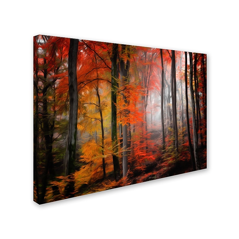 Trademark Fine Art 'Wildly Red' 16" x 24" Canvas Art image 1