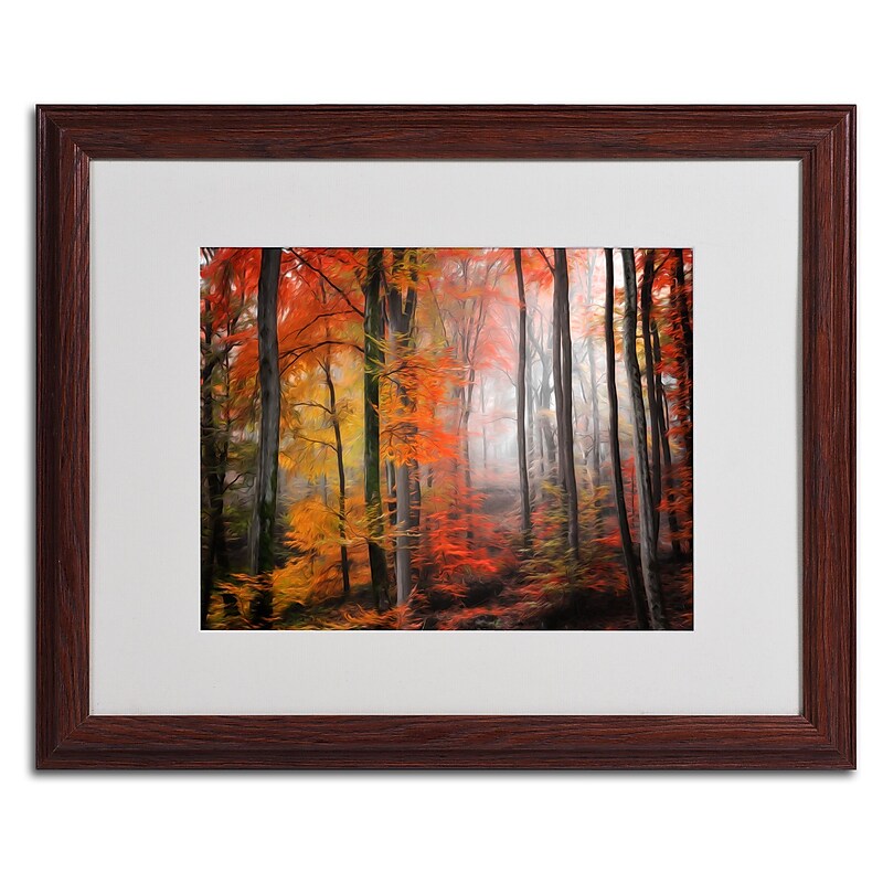 Trademark Fine Art 'Wildly Red' 16" x 20" Wood Frame Art image 1