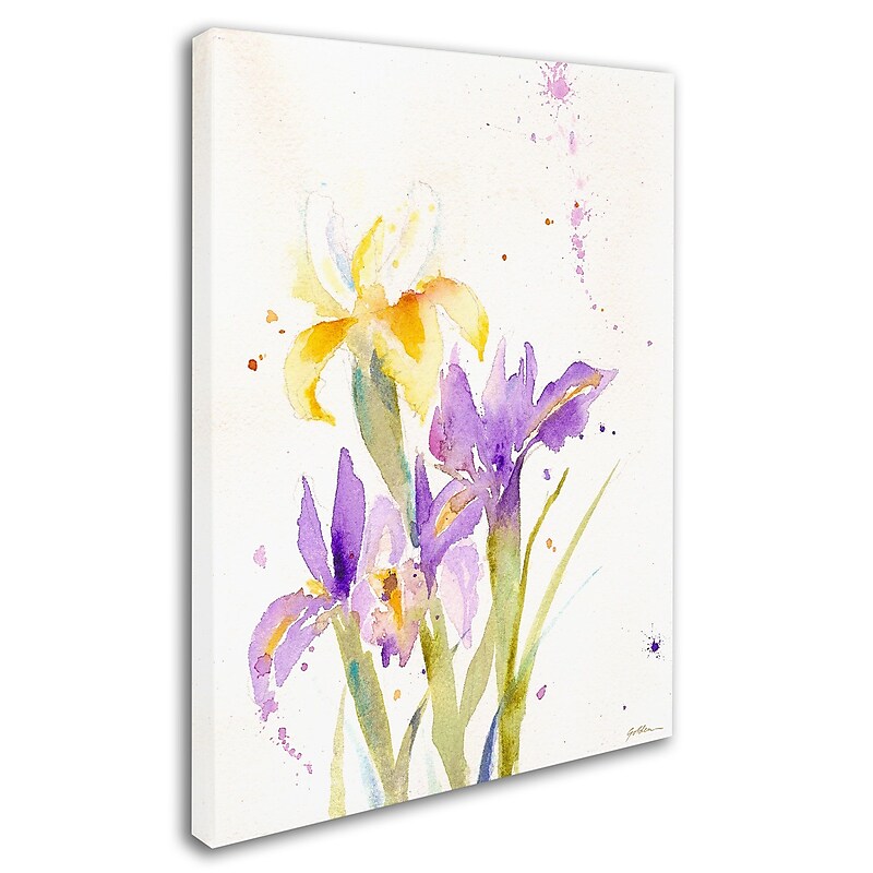 Trademark Fine Art 'The Golden Iris' 24" x 32" Canvas Art image 1