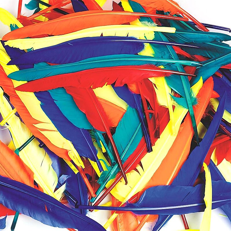 S&S® 12" Quill Feathers, Assorted image 1