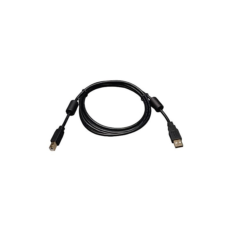 Tripp Lite 6' USB 2.0 Male to Male Device Cable, Black+ image 1