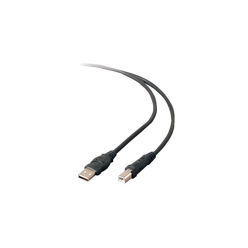 Belkin® 6' Hi-Speed USB 2.0 Cable, Black image 1