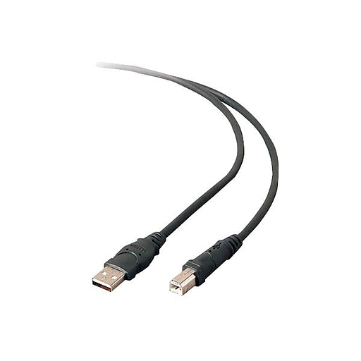 Belkin USB2 Hi-Speed câble 6' F3U133-6 
