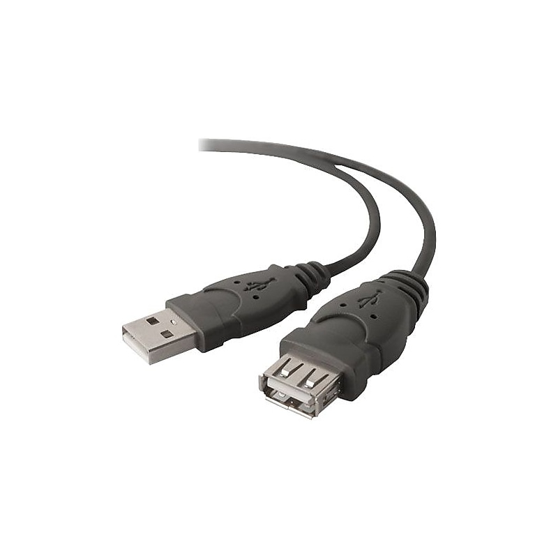 Belkin® 10' Pro Series USB 1.1 Extension Cable image 1