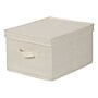 Household Essentials Large Storage Box, Natural (113)~#|#~m000290875_sc7