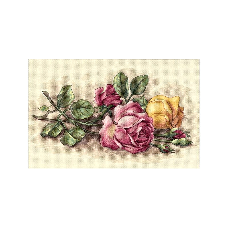 Rose Cuttings Counted Cross Stitch Kit, 14"X9" 14 Count image 1