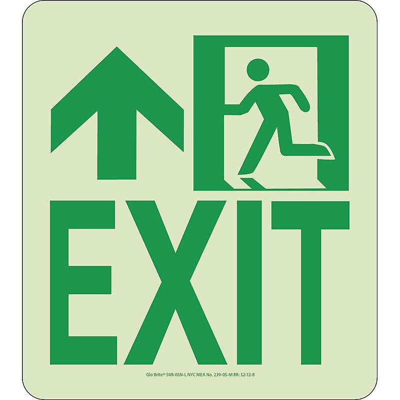 NYC Wall Mont Exit Sign, Forward/Left Side, 9X8, Rigid, 7550 Glo Brite, MEA Approved image 1