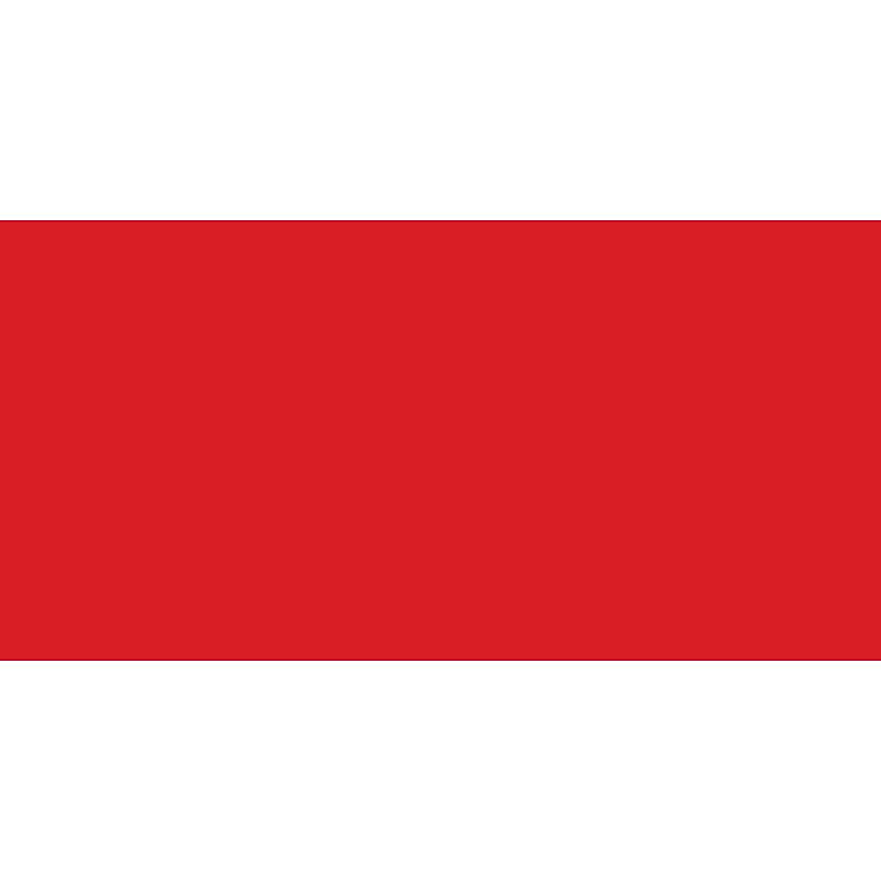 Polypro Webbing 1" Wide, Red image 1