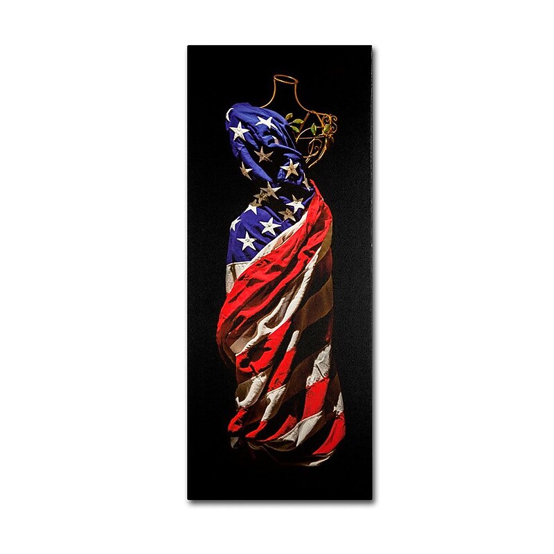 Trademark Fine Art 'American Dress' 10" x 24" Canvas Art image 1