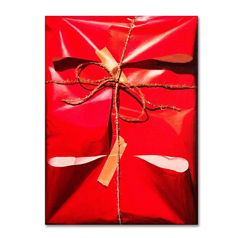 Trademark Fine Art 'Red Wrap' 14" x 19" Canvas Art image 1