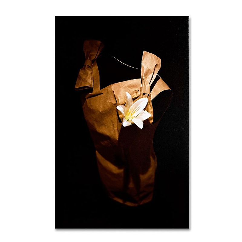 Trademark Fine Art 12" x 19" Wooden Frame White Flower image 1