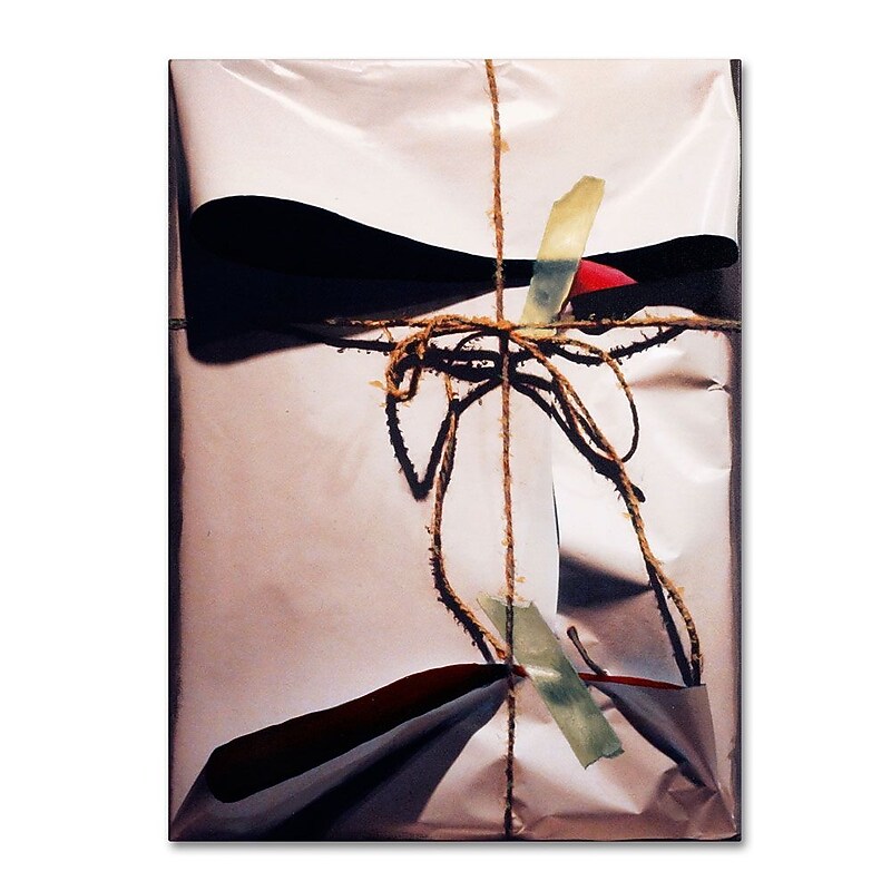 Trademark Fine Art 'White Wrap With Twine' 35" x 47" Canvas Art image 1