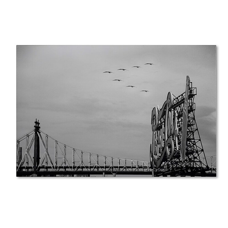 Trademark Fine Art 'Pepsi Birds' 30" x 47" Canvas Art image 1