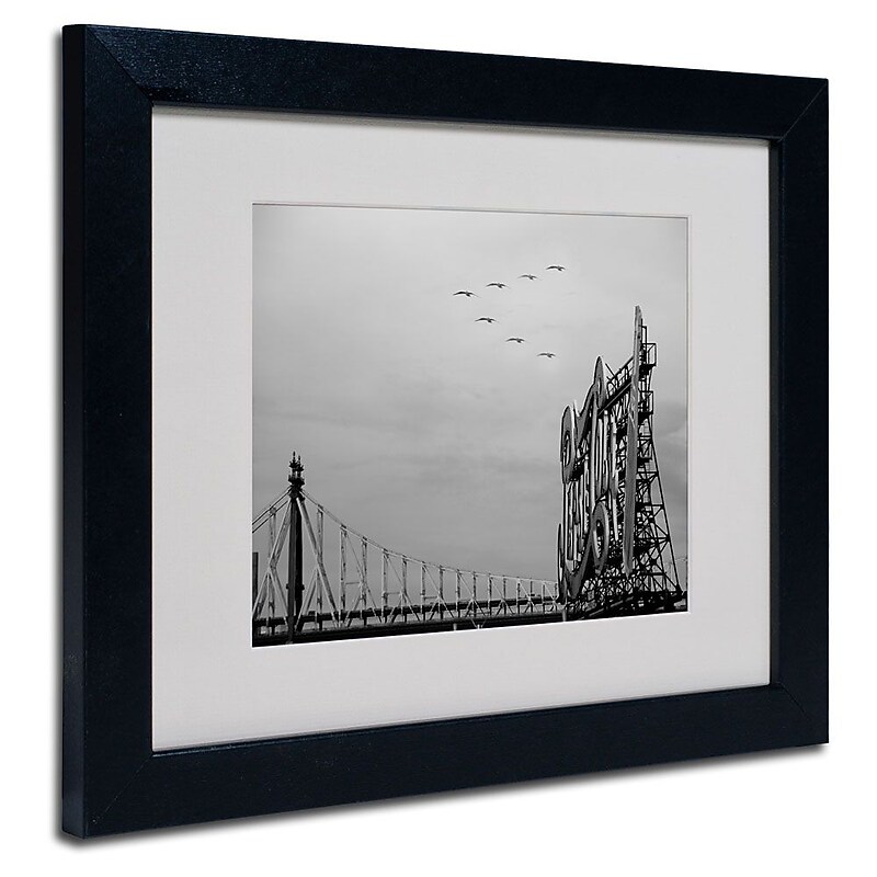Trademark Fine Art 'Pepsi Birds' 11" x 14" Black Frame Art image 1
