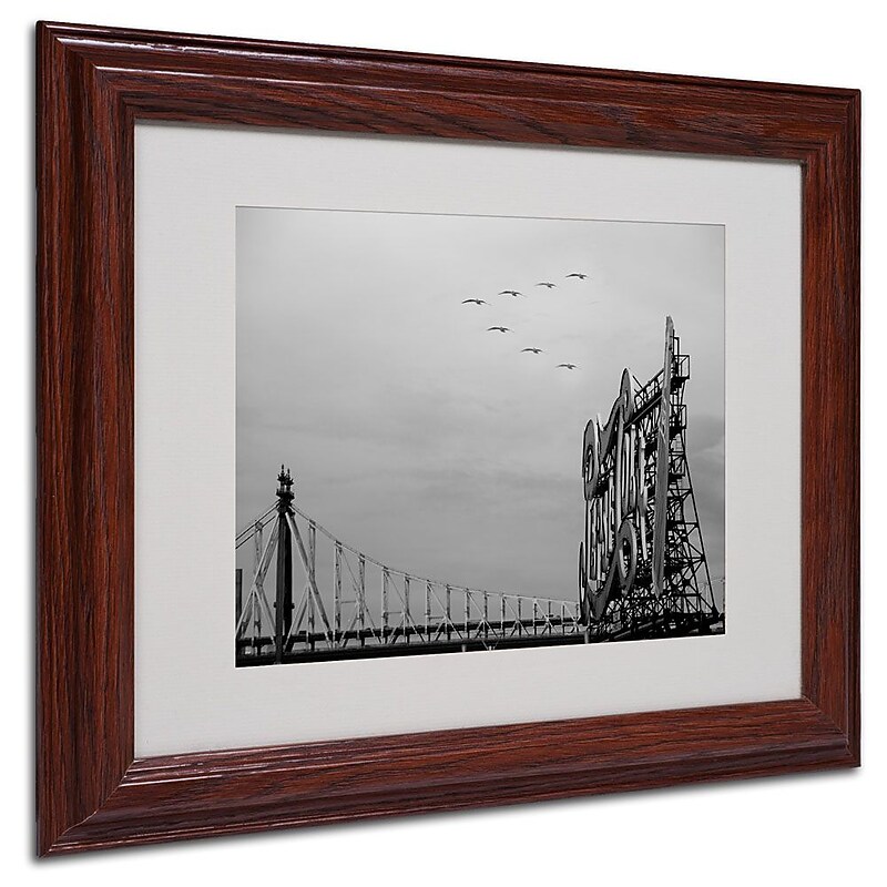 Trademark Fine Art 'Pepsi Birds' 11" x 14" Wood Frame Art image 1