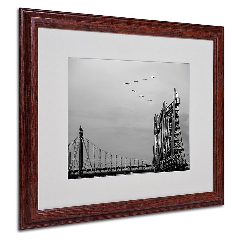 Trademark Fine Art 'Pepsi Birds' 16" x 20" Wood Frame Art image 1