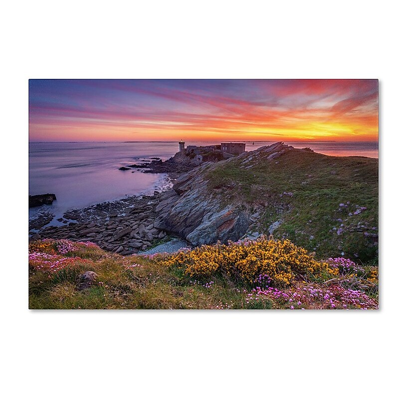 Trademark Fine Art 12" x 19" Wooden Frame Brittany In Flowers image 1