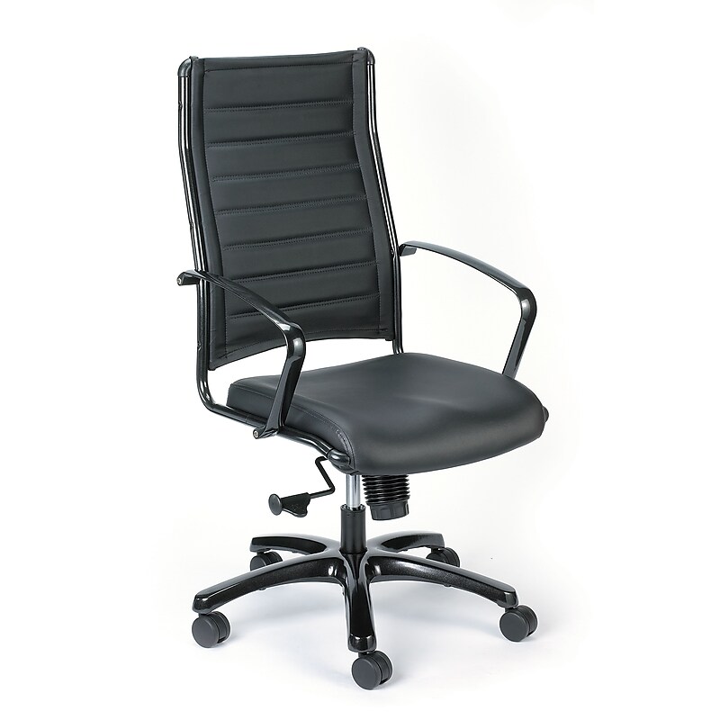 Eurotech High Back Titanium Frame Leather Executive Chair: Black image 1