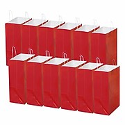 S&S® Laminated Large Gift Bags, 12/Pack