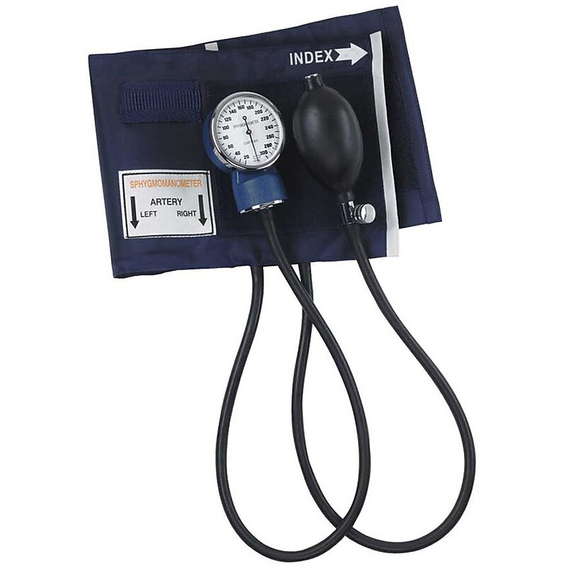 Briggs Healthcare Arm Aneroid Sphygmomanometer, Large Adult, Blue (09-149-016) image 1